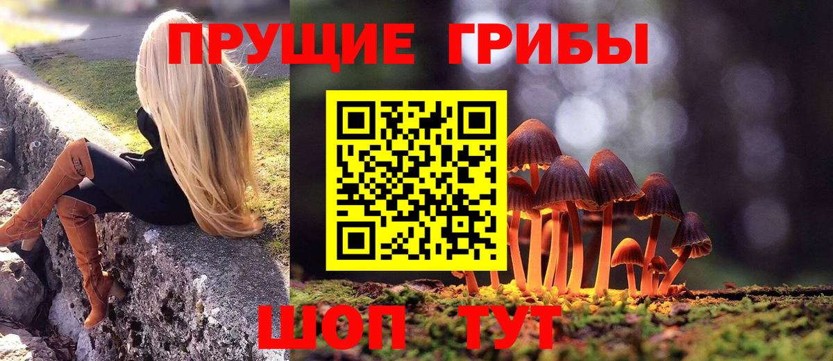 Галлюциногенные грибы прущие грибы Вятские Поляны
